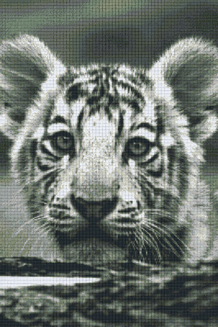 Baby Tiger Thirty [30] Baseplate PixelHobby Mini-mosaic Art Kit image 0
